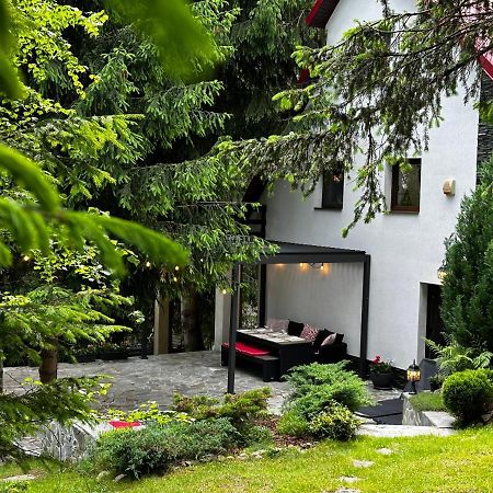 Mountain Chalet - Cabana La Muntele Baisorii Muntele Cacovei  Exterior photo
