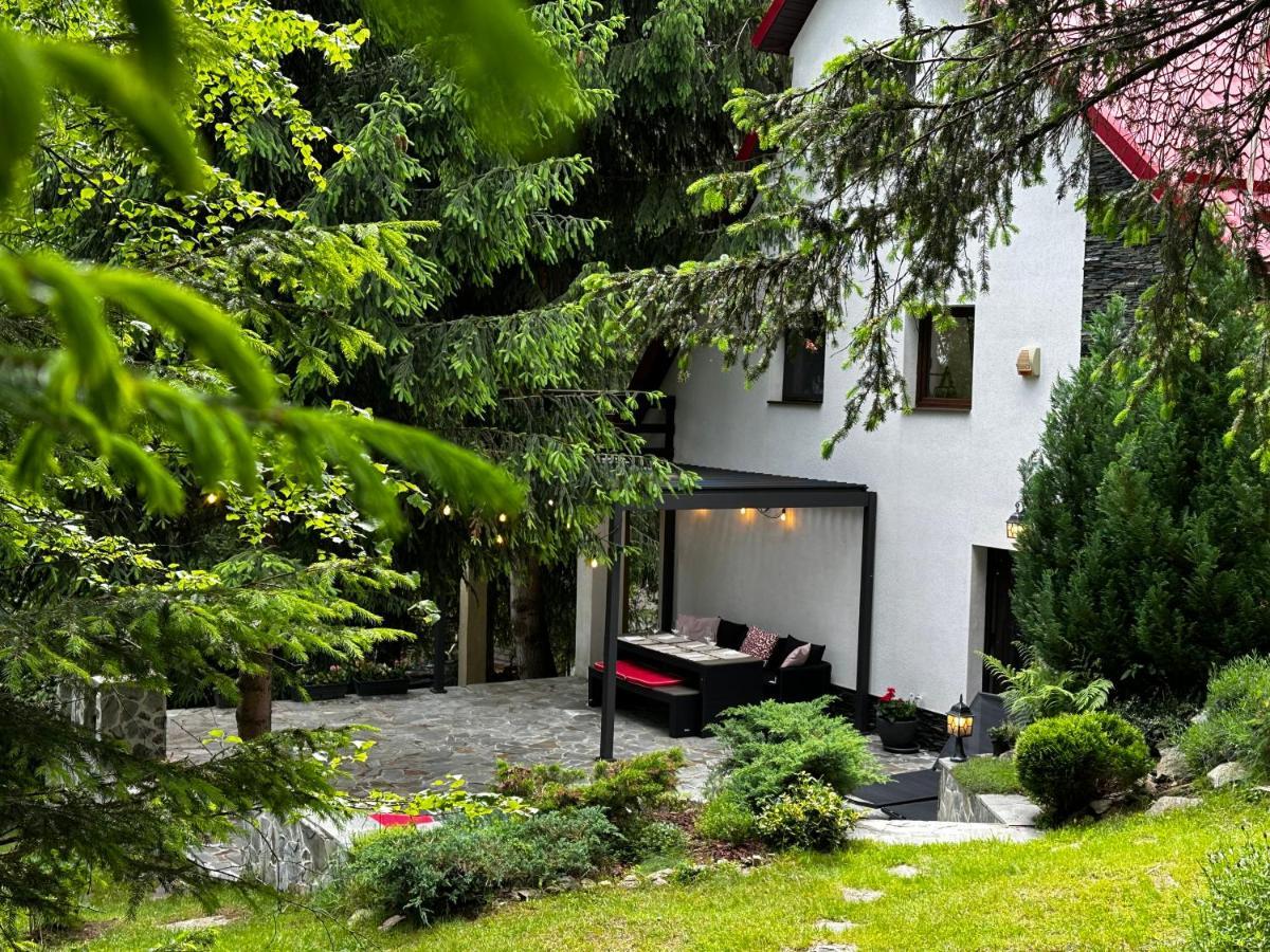 Mountain Chalet - Cabana La Muntele Baisorii Muntele Cacovei  Exterior photo